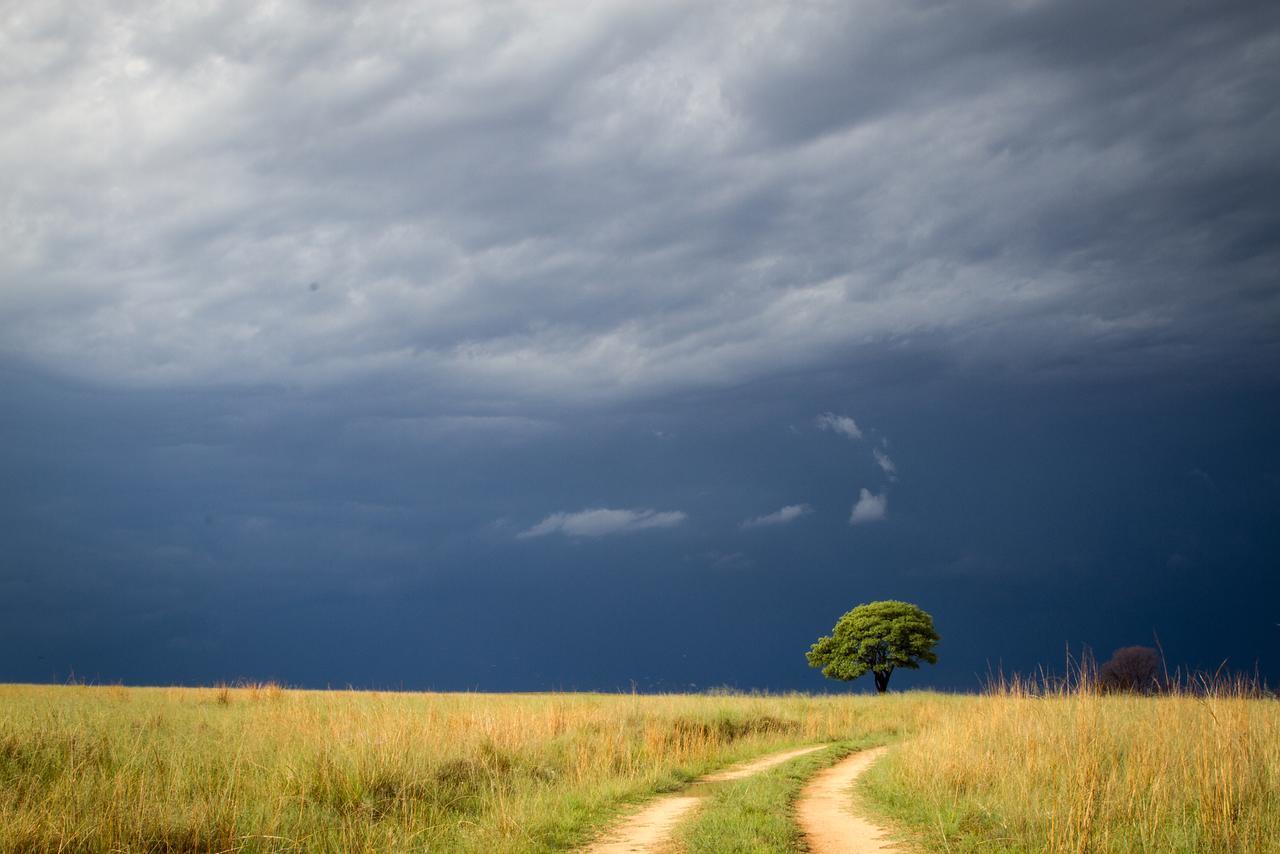 Готель Ezemvelo Nature Reserve Vaalplaas Екстер'єр фото