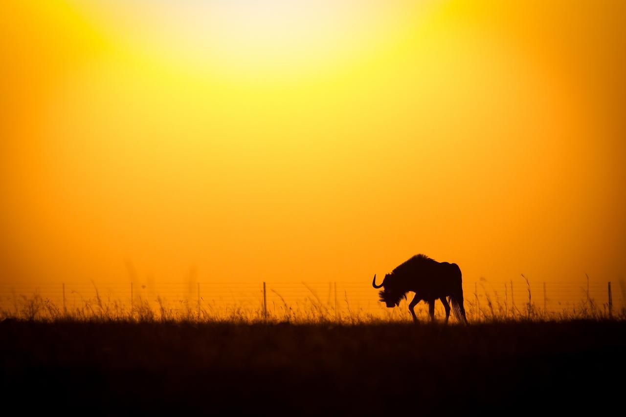 Готель Ezemvelo Nature Reserve Vaalplaas Екстер'єр фото